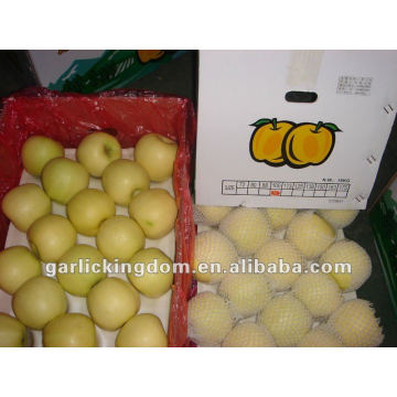 Fresh Golden Delicious Apple (18kg 100-113-125)